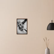 31cd9207-fa5a-40b3-8f47-e9423ef6053d