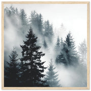 b269fedf-27c3-4f0f-85a7-5b058c2deea5