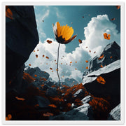 e66211d7-de0c-4ec4-b198-5620b7bf4be6