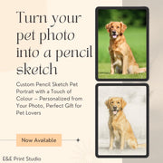 Custom Pencil Sketch Pet Portrait with Partial Colour | Personalised Dog or Cat Drawing from Photo | Hand-Drawn Animal Art Print Gift